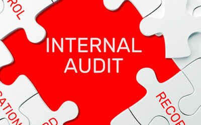 Internal Audit Proves Critical During COVID-19