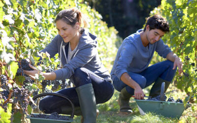 Tax Withholding for Seasonal and Part-Time Employees