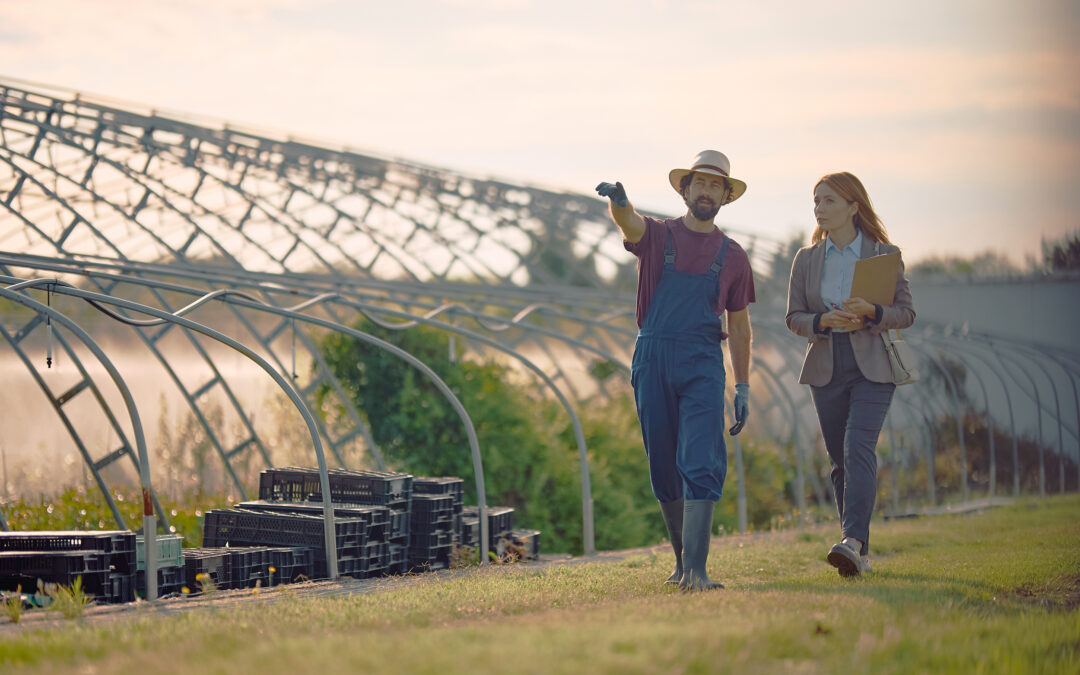 Common Growth Mistakes Small Businesses Make